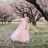 Ariana Light Pink Petal Sleeve Satin & Lace Dress Gown - Just Couture