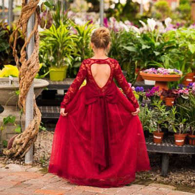 Wine Isabella Heart Shape Big Bow Dress Gown
